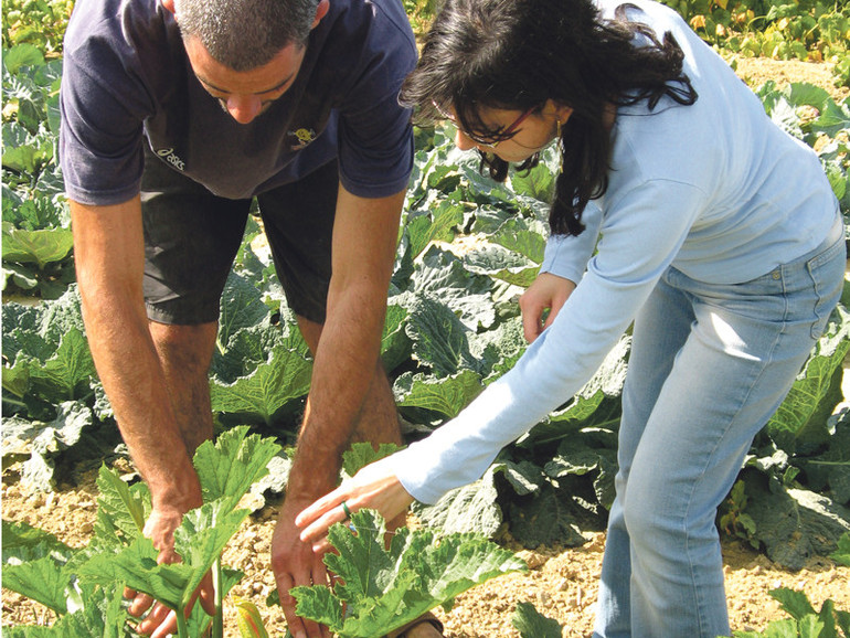 Con “Borse verdi” Cadoneghe dona i frutti degli orti sociali alla Caritas 