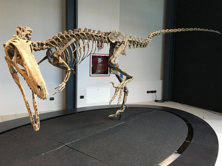 "Dinosauri. Giganti dall'Argentina", solo cinque ricostruzioni ma tanti eventi collaterali