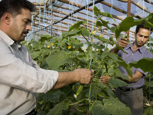 Indagine Cia: in Italia 12 mila imprenditori agricoli sono stranieri