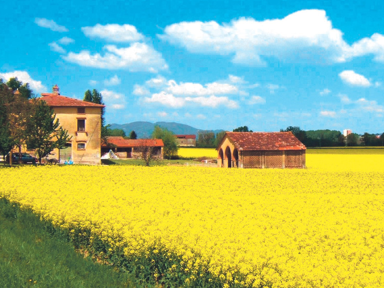 Il rapporto 2015 di Veneto agricoltura: un anno di alti e bassi