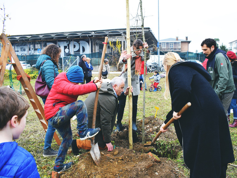 Nuovi alberi e nuova vita: all'Arcella prende forma il Totem park
