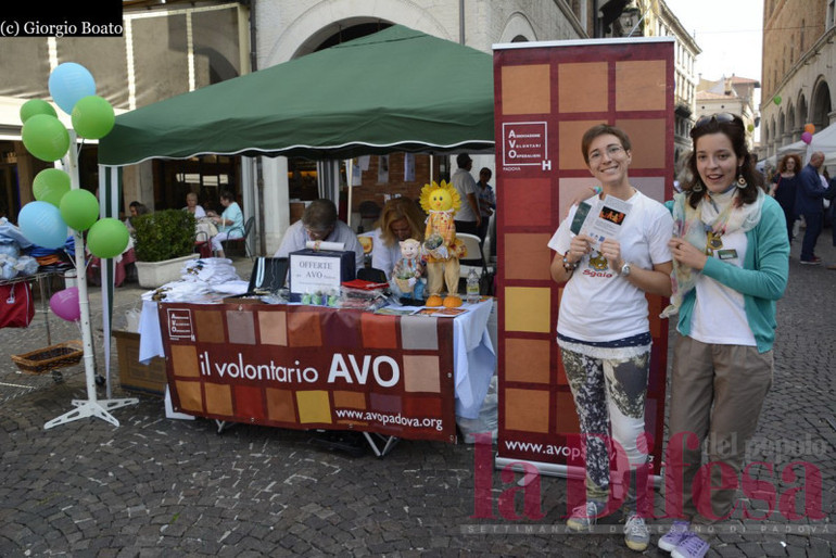 Terzo settore, fatta la legge ora va ritrovata un'anima profetica Terzo settore, fatta la legge ora va ritrovata un'anima profetica