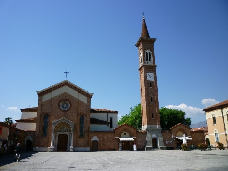 La storia della Madonna dell'Olmo