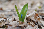 Dalla parte della speranza