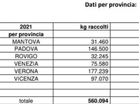 dati-colletta-alimentare-province21