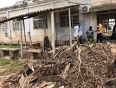 A tre settimane dall'alluvione in Mozambico la situazione resta tragica. Ma la speranza non si ferma. Parla il Cuamm