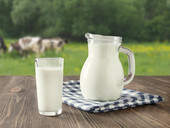 Accordo latte, un esempio. L’intesa raggiunta tra tutte le componenti della filiera, indica un metodo che può valere anche per altri comparti