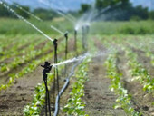 Acqua, sempre preziosa. Le risorse idriche continuano ad essere determinanti per l’agricoltura. E non solo