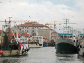 Adriatico, un mese di fermo pesca