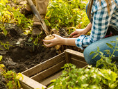 Agricoltura sociale e inclusiva, più lenta ma comunque redditizia. Un nuovo modo di coltivarsi