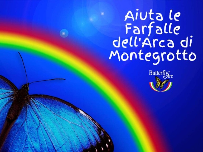“Aiuta a salvare le farfalle dell’Arca di Montegrotto”