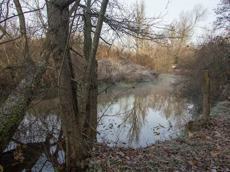 Alta Padovana. La palude di Onara soffre per la carenza d’acqua