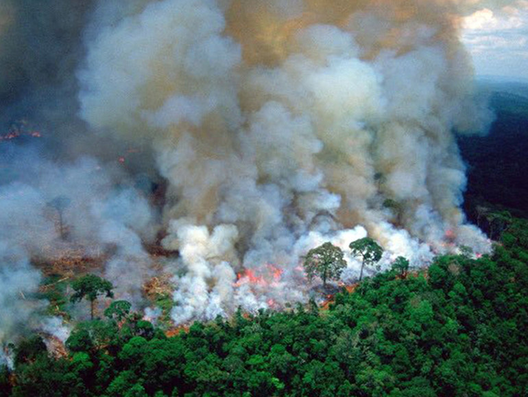 Amazzonia, record incendi nel 2019: Sao Paulo nel fumo