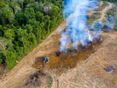 Amazzonia. La tragedia degli indios. Parla da Roraima, Brasile, l'amministratore diocesano don Lucio Nicoletto