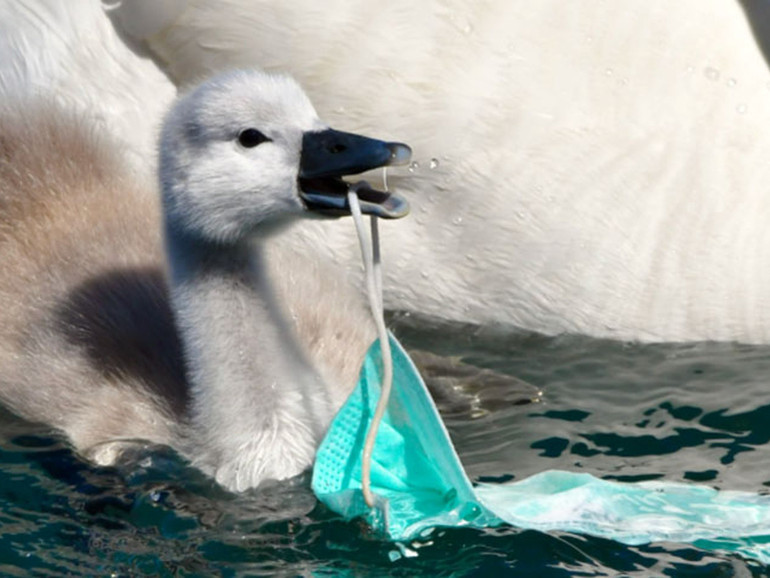 Ambiente, la lotta al Covid frena quella alla plastica