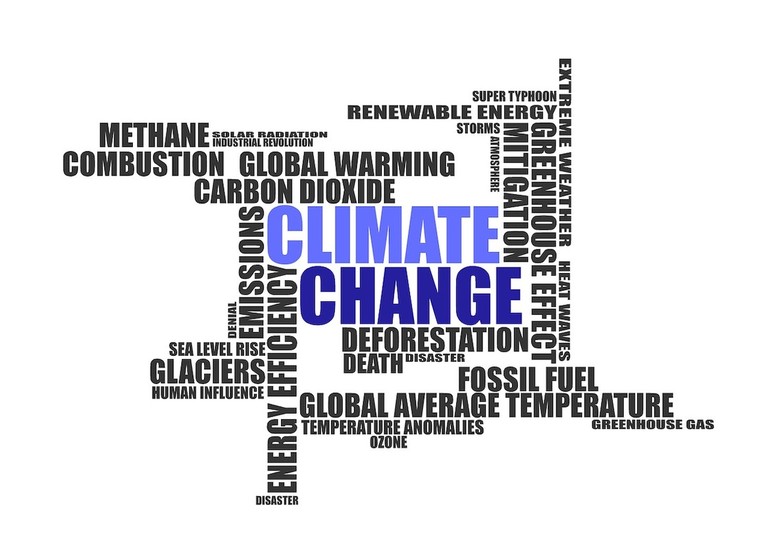 Ambiente, sostenibilità e cambiamenti climatici: dall'anno prossimo ci saranno anche queste materie