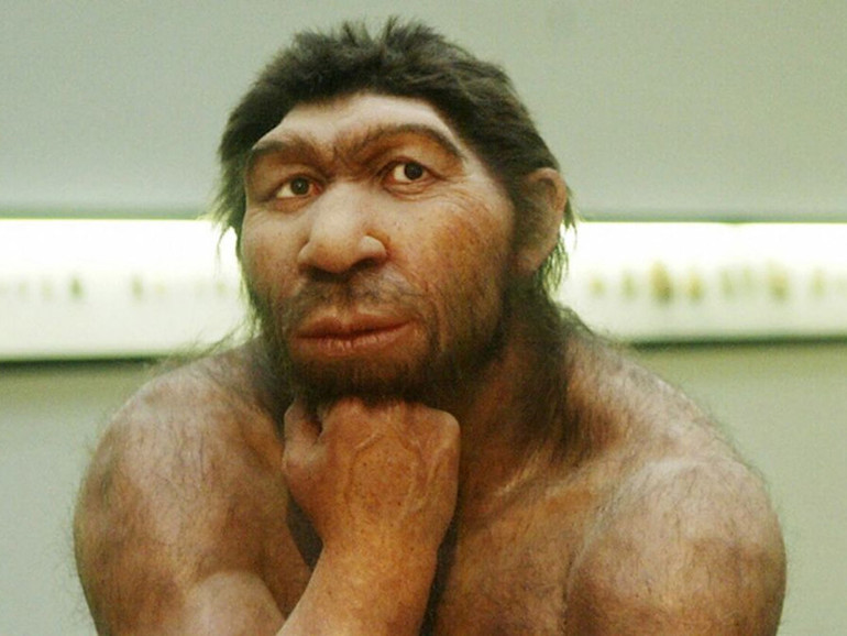 Antenati…remoti. Nuove scoperte sulla specie Homo neanderthalensis