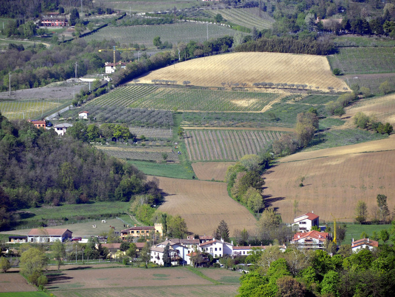 Bandi e finanziamenti per l'agricoltura in Regione Veneto