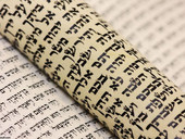 Bibbia: ebrei e cristiani leggono insieme i passi più significativi