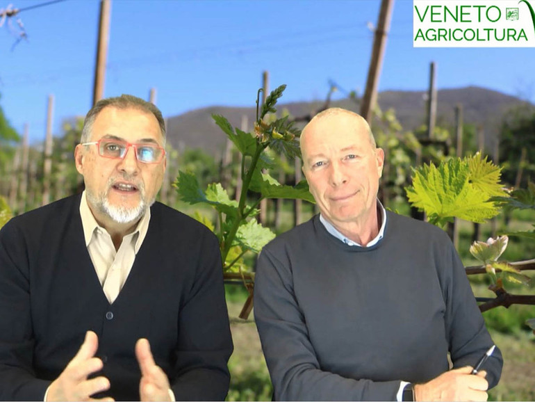 Mimmo Vita a sx e Renzo Michieletto a dx di Veneto Agricoltura durante una trasmissione di Radio Veneto Agricoltura 