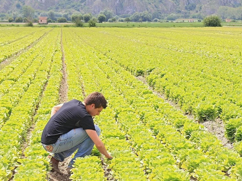 Buona agricoltura. Di fronte alla malavita le risposte non mancano