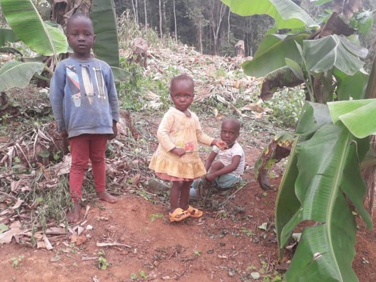 Camerun. Il progetto agricolo di padre Savoldelli per far innamorare i giovani della loro terra anziché rischiare la vita nei viaggi della speranza