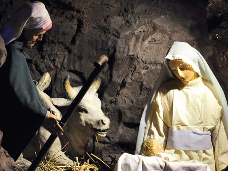 Cattedrale, Gesù nasce nella natura. Santo, gli ottocento anni della vocazione francescana di Antonio Cattedrale, Gesù nasce nella natura. Santo, gli ottocento anni della vocazione francescana di Antonio