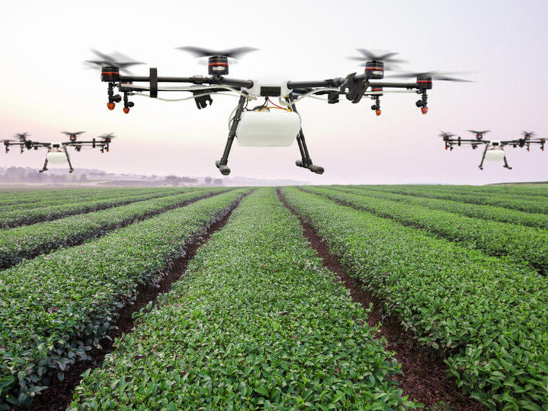 Cina sempre più vicina. Anche nell'agroalimentare Cina sempre più vicina. Anche nell'agroalimentare