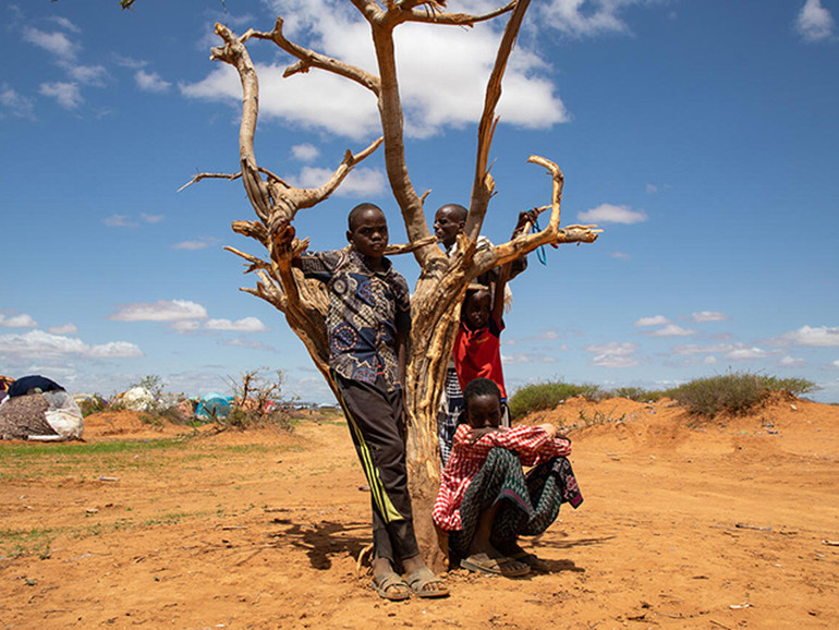 Clima, Unicef: per 2 giovani su 5 i cambiamenti pesano sul desiderio di una famiglia Clima, Unicef: per 2 giovani su 5 i cambiamenti pesano sul desiderio di una famiglia