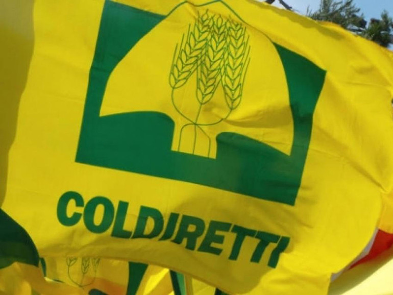 Coldiretti: con l' estate serve nuovo decreto flussi Coldiretti: con l' estate serve nuovo decreto flussi
