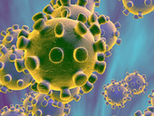 Coronavirus, bozza dl: 28 limitazioni alla libertà, reiterabili fino al 31 luglio