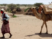 Coronavirus, Etiopia: le scuole sono chiuse ma ai libri ci pensa il cammello