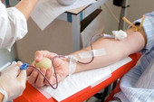 Coronavirus. Giorgio Brunello, presidente di Avis Veneto, invita a non interrompere le donazioni di sangue