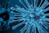 Coronavirus.  Qual è l'identikit dei deceduti e positivi all’infezione?