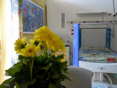 Cure palliative: il volto più umano della medicina moderna nel tempo del Giubileo
