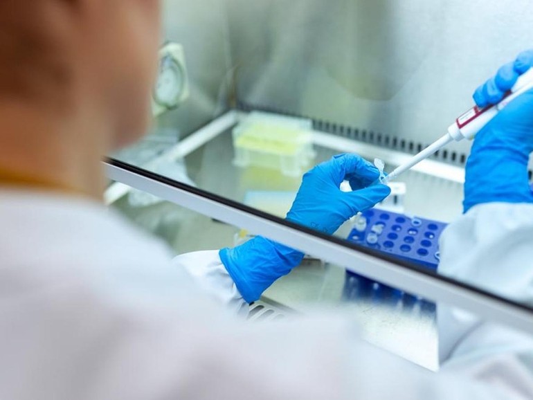 Da Fondazione Telethon e Uildm oltre 900 mila euro per la ricerca sulle distrofie muscolari Da Fondazione Telethon e Uildm oltre 900 mila euro per la ricerca sulle distrofie muscolari