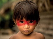 Dal 21 giugno in libreria "Il Sinodo per l'Amazzonia" di Claudio Hummes