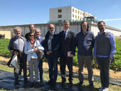 Dal carcere alla tavola, le fragole del progetto ExNovo della cooperativa sociale. In cella non si marcisce, si sboccia