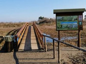 Delta del Po: Il 4 ottobre inaugurazione del Giardino Laudato Si', simbolo di un nuovo modello di sviluppo