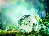Dieci azioni e impegni per aiutare il pianeta: cosa possono fare governo e cittadini