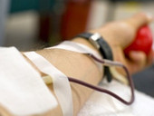 Donazione sangue, Avis: nessuna controindicazione per i vaccinati