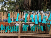 Ebola in Congo, "più di 500 bambini hanno perso la vita"