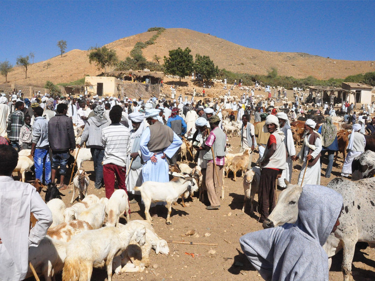 Eritrea. La stretta contro i cattolici in un paese allo stremo