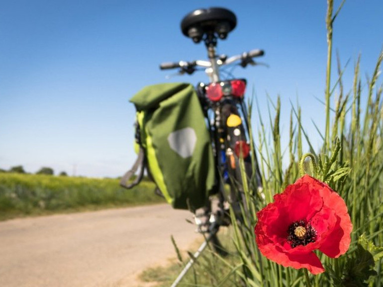 Estate in bici, Uecoop: "In 5 anni crescono le piste ciclabili del 15%