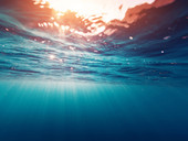 Finiremo sott’acqua? Il pericolo dell'innalzamento degli oceani