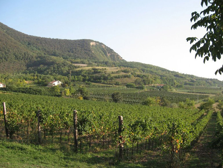 Gal patavino. Dai Colli all’Adige, escursioni e visite Gal patavino. Dai Colli all’Adige, escursioni e visite
