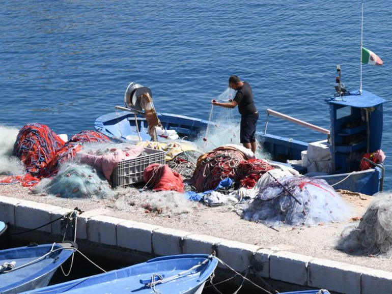 Giornata ringraziamento: messaggio Cei, “siano garantiti i diritti di pescatori e pastori”, no a “forme vergognose di sfruttamento” Giornata ringraziamento: messaggio Cei, “siano garantiti i diritti di pescatori e pastori”, no a “forme vergognose di sfruttamento”