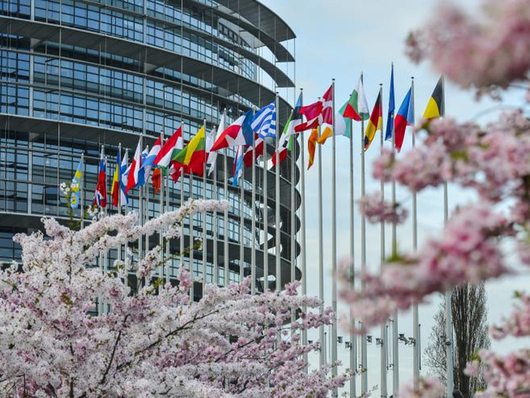 Istituzioni. Elezioni europee 2019: una guida per il voto