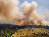 L’Amazzonia brucia ancora, ma per il governo "è una menzogna”