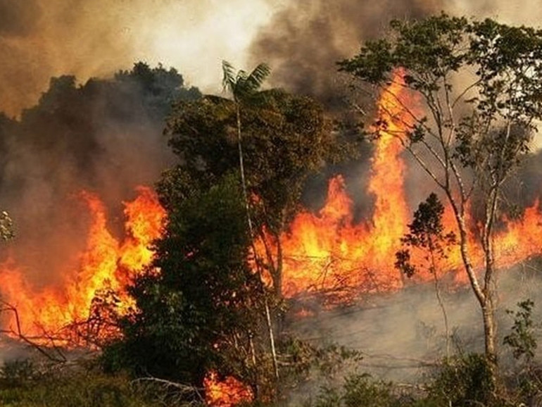 L’Amazzonia continua a bruciare, le 4 richieste per il G7 del Wwf